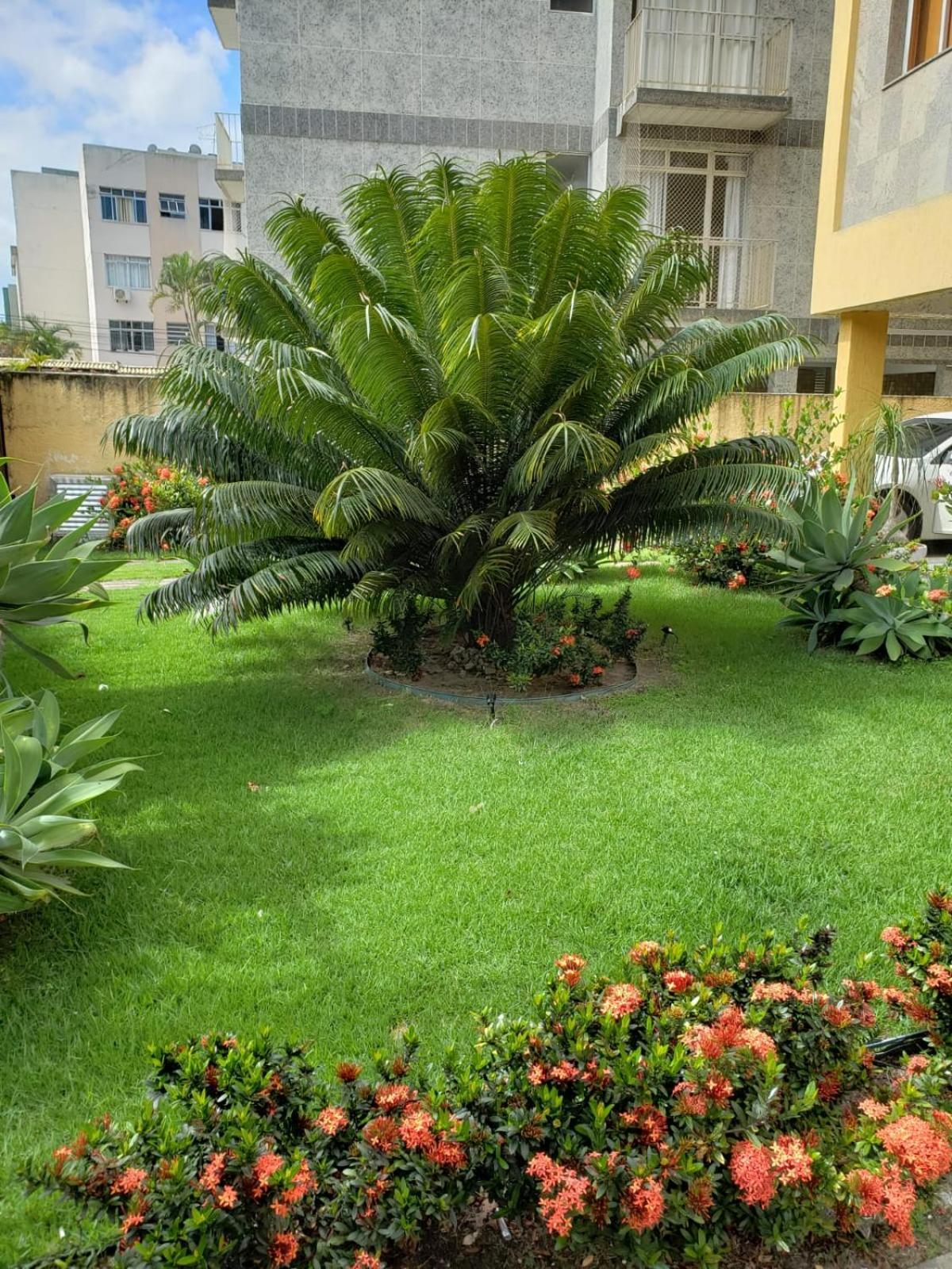 Localizacao Imbativel! A 98M Da Praia Do Forte Com Conforto, Ar-Condicionado E Estacionamento! Cabo Frio Ngoại thất bức ảnh